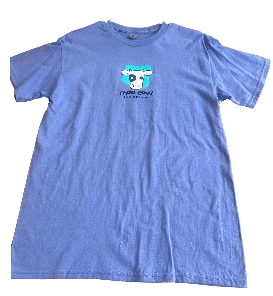 St. Simons Lighthoose Tee